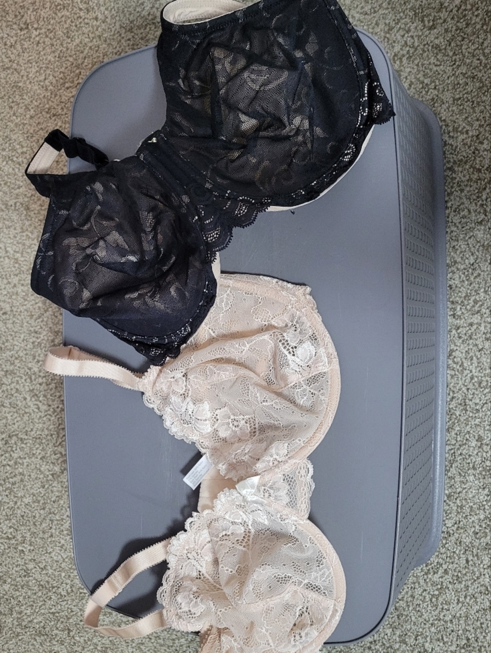 Never Worn; 2 Lace Underwire Bras, Apt. 9 And Unknown Brand, Size 38DD